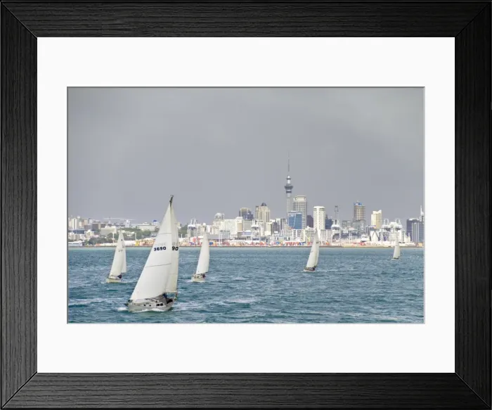 Framed Print : Auckland, North Island, New Zealand, Pacific Framed Print : Auckland, North Island, New Zealand, Pacific