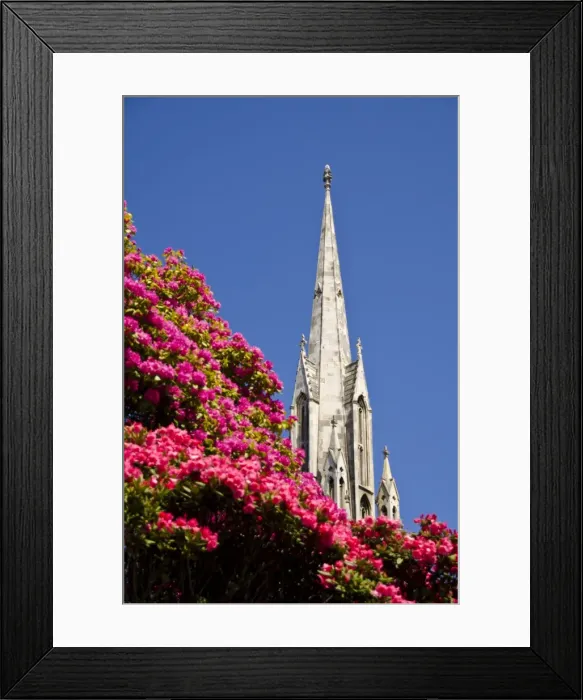 Framed Print : The First Church, Dunedin, Otago, South Island, New Zealand, Pacific Framed Print : The First Church, Dunedin, Otago, South Island, New Zealand, Pacific