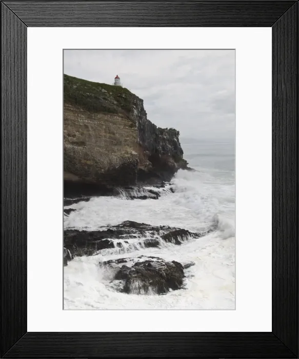Framed Print : Royal Albatross Centre, Dunedin, Otago Peninsula, South Island, New Zealand, Pacific Framed Print : Royal Albatross Centre, Dunedin, Otago Peninsula, South Island, New Zealand, Pacific