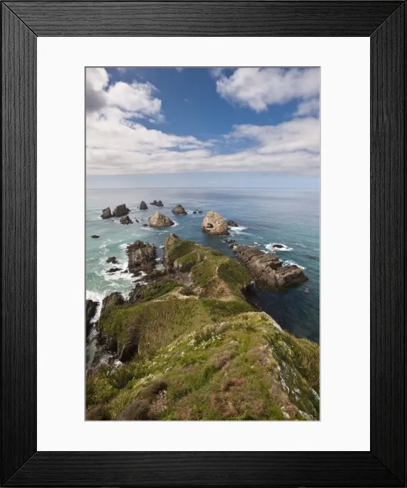 Framed Print : Nugget Point, Otago, South Island, New Zealand, Pacific Framed Print : Nugget Point, Otago, South Island, New Zealand, Pacific