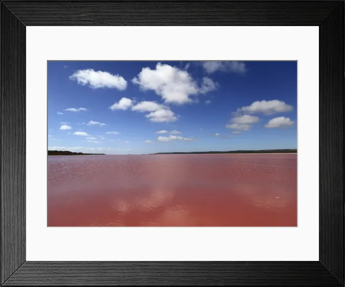 Framed Print : Edible algae provides a pink hue to the Hutt Pink Lagoon, Port Gregory, Western Australia, Australia, Pacific Framed Print : Edible algae provides a pink hue to the Hutt Pink Lagoon, Port Gregory, Western Australia, Australia, Pacific