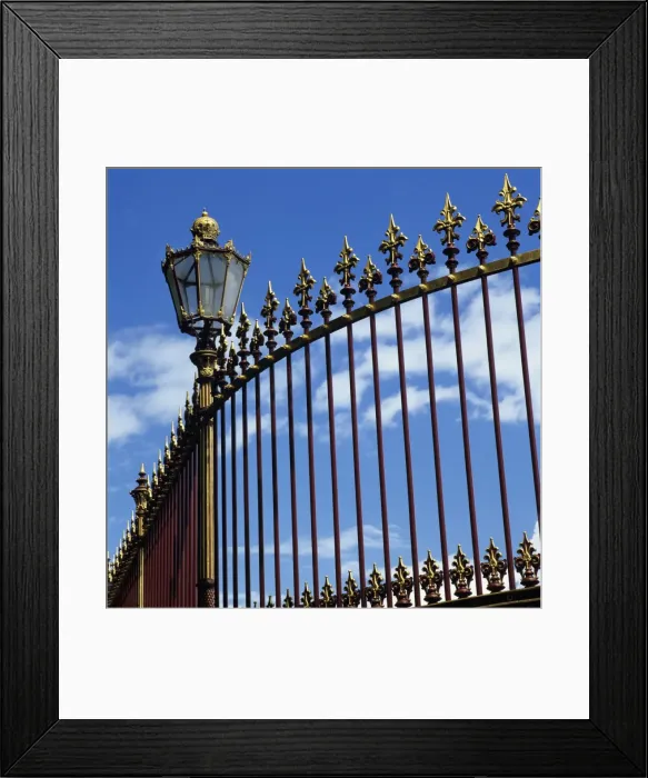 Framed Print : Ornate street light and railings, Vienna, Austria, Europe Framed Print : Ornate street light and railings, Vienna, Austria, Europe
