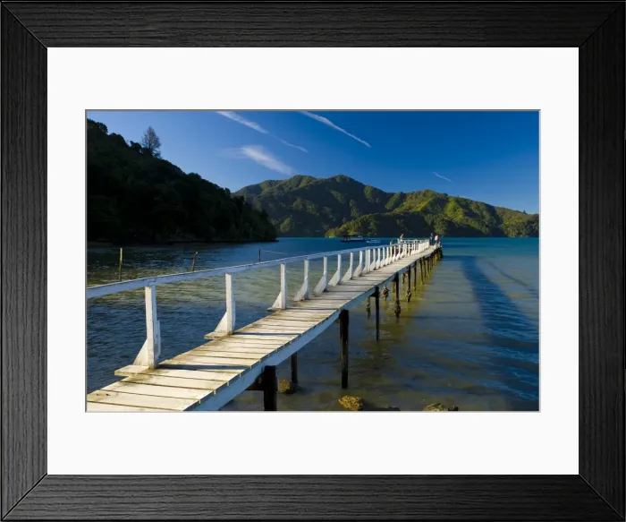 Framed Print : Queen Charlotte Sound, South Island, New Zealand, Pacific Framed Print : Queen Charlotte Sound, South Island, New Zealand, Pacific
