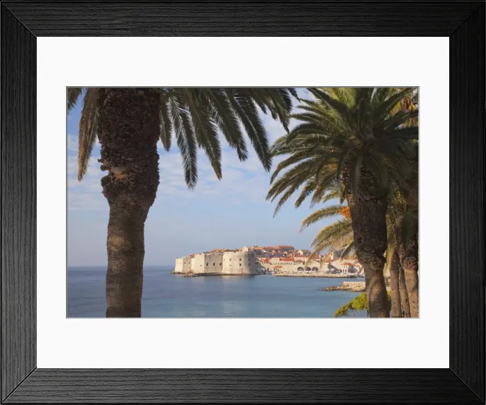 Framed Print : Old Town through palm trees, Dubrovnik, Croatia, Europe Framed Print : Old Town through palm trees, Dubrovnik, Croatia, Europe