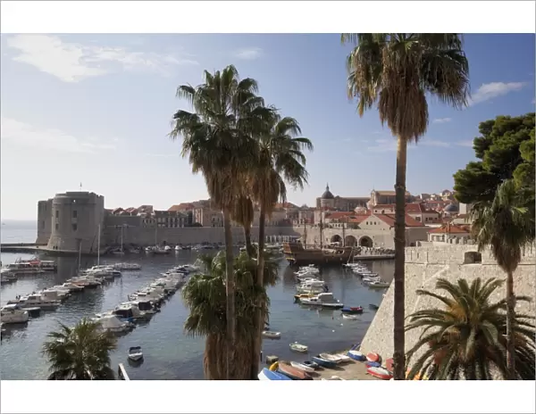 Palm trees and the harbour, Dubrovnik Old Town, Dubrovnik, Croatia, Europe