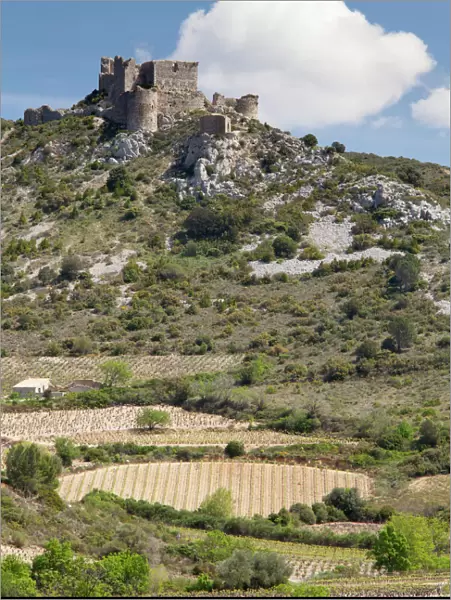 The Cathar castle of Aguilar in Languedoc-Roussillon, France, Europe