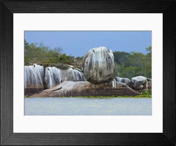 Framed Print : Rock formation with crocodiles and cormorants at Kumana National Park, formerly Yala East, Kumana, Eastern Province, Sri Lanka, Asia