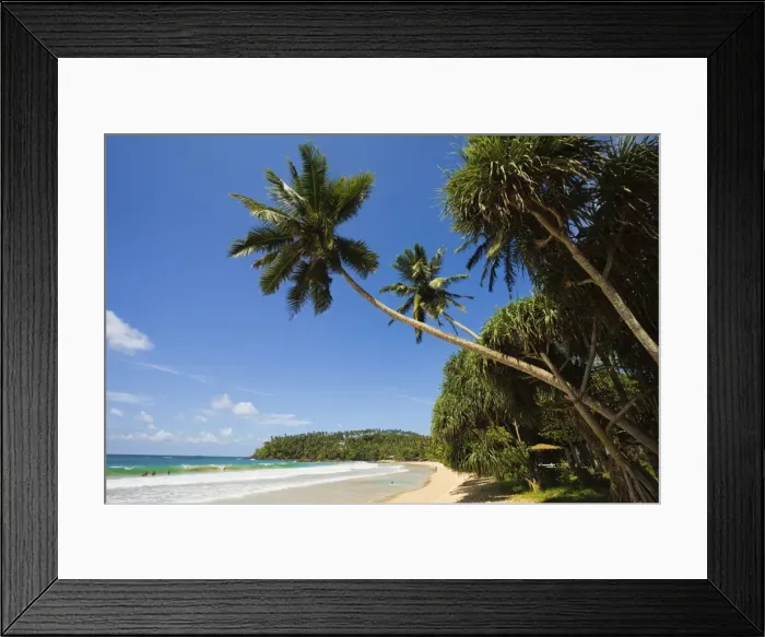Framed Print : Palm trees and west point of the south coast whale watch surf beach at Mirissa, near Matara, Southern Province, Sri Lanka, Asia Framed Print : Palm trees and west point of the south coast whale watch surf beach at Mirissa, near Matara, Southern Province, Sri Lanka, Asia