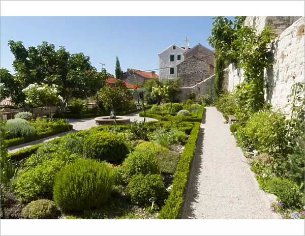 Medieval mediterranean garden of St. Lawrence Monastery, Sibenik, Dalmatia region, Croatia, Europe