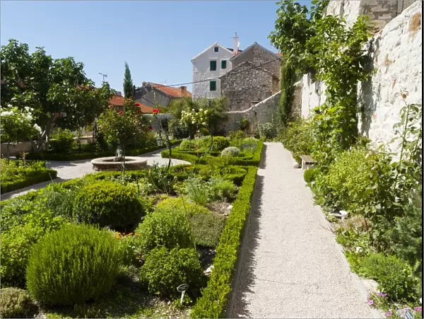 Medieval mediterranean garden of St. Lawrence Monastery, Sibenik, Dalmatia region, Croatia, Europe