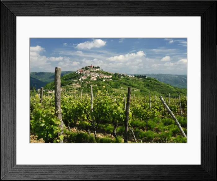 Framed Print : View over vineyard to hilltop town, Motovun, Istria, Croatia, Europe Framed Print : View over vineyard to hilltop town, Motovun, Istria, Croatia, Europe