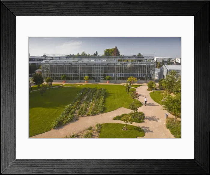 Framed Print : The huge greenhouse in the Jardins Botanique (Botanical Gardens), Tours, Indre et Loire, Centre, France, Europe Framed Print : The huge greenhouse in the Jardins Botanique (Botanical Gardens), Tours, Indre et Loire, Centre, France, Europe