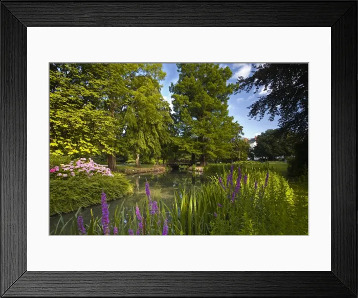 Framed Print : The Jardins des Prebendes d Oe, Tours, Indre et Loire, Centre, France, Europe Framed Print : The Jardins des Prebendes d Oe, Tours, Indre et Loire, Centre, France, Europe