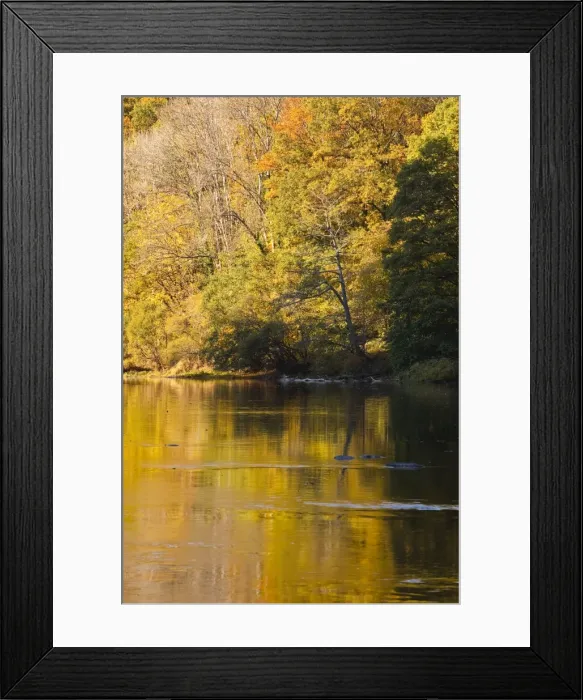 Framed Print : Beautiful autumn colours reflecting in the River Creuse, a favourite area of the river of the artist Claude Monet, Limousin, France, Europe Framed Print : Beautiful autumn colours reflecting in the River Creuse, a favourite area of the river of the artist Claude Monet, Limousin, France, Europe