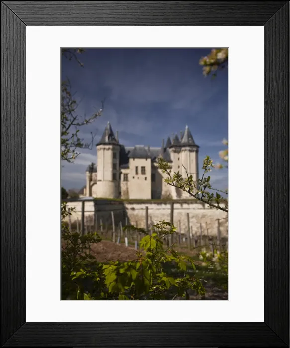 Framed Print : Chateau de Saumur, UNESCO World Heritage Site, Saumur, Maine-et-Loire, Loire Valley, France, Europe Framed Print : Chateau de Saumur, UNESCO World Heritage Site, Saumur, Maine-et-Loire, Loire Valley, France, Europe