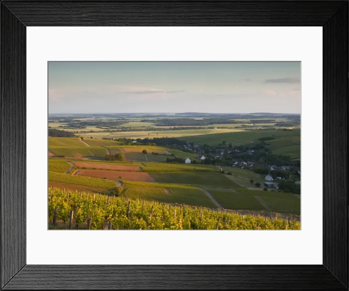 Framed Print : Bue, Sancerre, Cher, Loire Valley, Centre, France, Europe Framed Print : Bue, Sancerre, Cher, Loire Valley, Centre, France, Europe