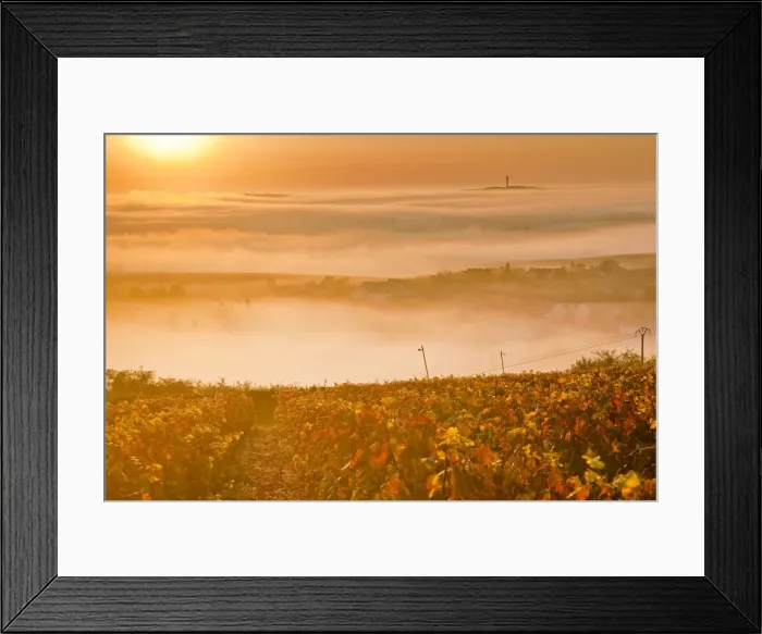 Framed Print : The vineyards of Sancerre during a heavy autumn mist, Cher, Centre, France, Europe Framed Print : The vineyards of Sancerre during a heavy autumn mist, Cher, Centre, France, Europe
