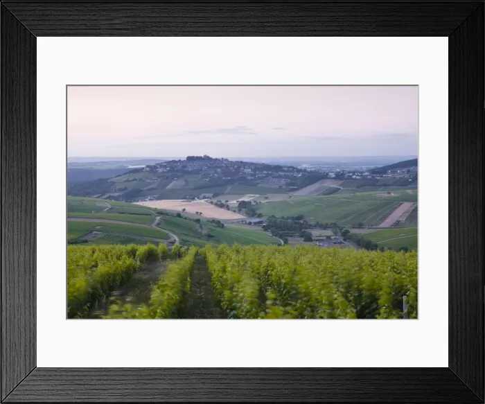Framed Print : The vineyards of Sancerre before sunrise, Cher, Loire Valley, Centre, France, Europe Framed Print : The vineyards of Sancerre before sunrise, Cher, Loire Valley, Centre, France, Europe
