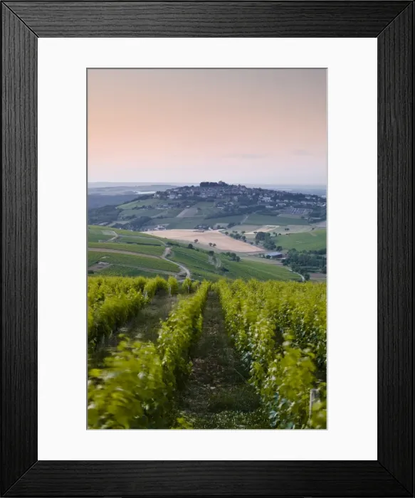 Framed Print : Looking down rows of vines towards the village of Sancerre, Cher, Loire Valley, Centre, France, Europe Framed Print : Looking down rows of vines towards the village of Sancerre, Cher, Loire Valley, Centre, France, Europe