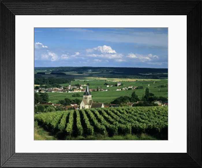 Framed Print : Champagne vineyards, Ville-Dommange, near Reims, Champagne, France, Europe Framed Print : Champagne vineyards, Ville-Dommange, near Reims, Champagne, France, Europe