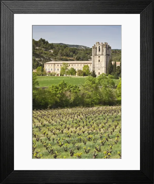 Framed Print : View of the Abbey of Sainte-Marie d Orbieu, Lagrasse, across vineyards in Languedoc-Roussillon, France, Europe Framed Print : View of the Abbey of Sainte-Marie d Orbieu, Lagrasse, across vineyards in Languedoc-Roussillon, France, Europe