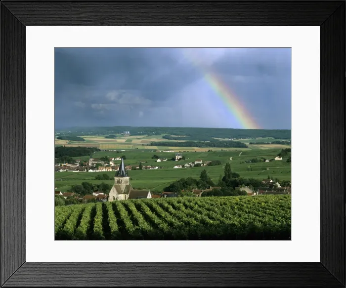 Framed Print : Champagne vineyards and rainbow, Ville-Dommange, near Reims, Champagne, France, Europe Framed Print : Champagne vineyards and rainbow, Ville-Dommange, near Reims, Champagne, France, Europe