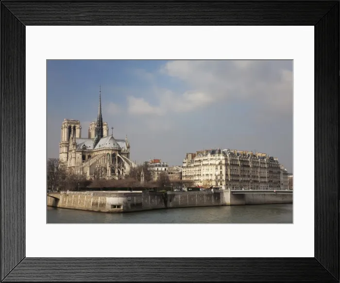 Framed Print : Ile de la Cite and Notre Dame Cathedral, Paris, France, Europe