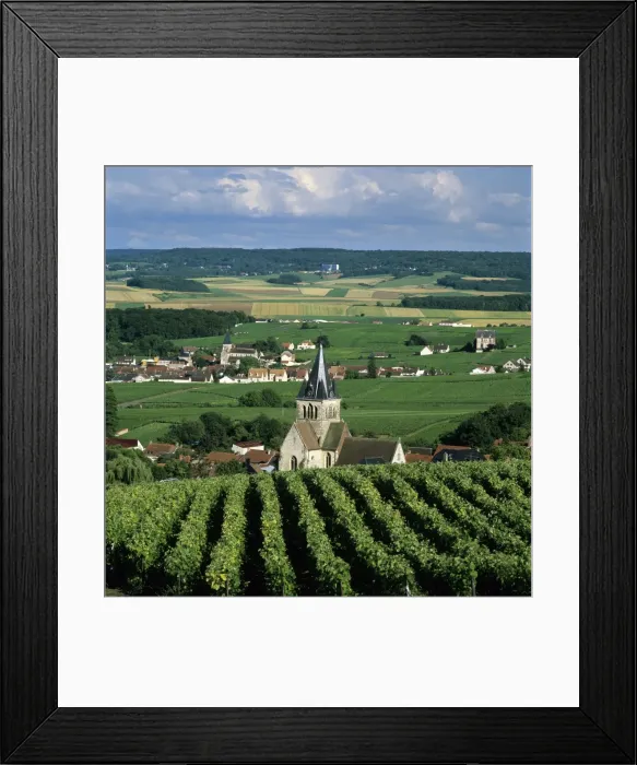 Framed Print : Champagne vineyards, Ville-Dommange, near Reims, Champagne, France, Europe