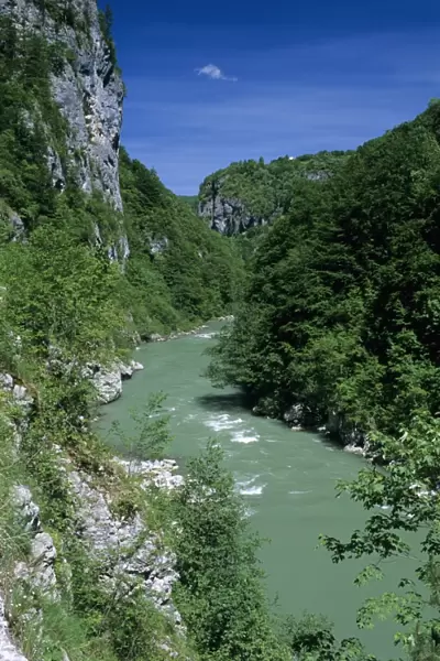 Tara Canyon and Tara River, Tramontana, Montenegro, Europe