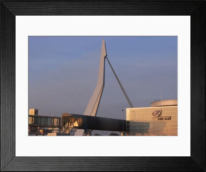 Framed Print : The iconic Erasmus Bridge, one of the citys landmarks, over the Ms River, Rotterdam, Netherlands, Europe Framed Print : The iconic Erasmus Bridge, one of the citys landmarks, over the Ms River, Rotterdam, Netherlands, Europe