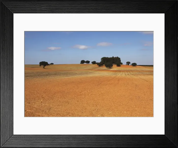 Framed Print : A field of orange-red earth, typical of rural land of the region, close to Mertola in the Alentejo, Portugal, Europe Framed Print : A field of orange-red earth, typical of rural land of the region, close to Mertola in the Alentejo, Portugal, Europe