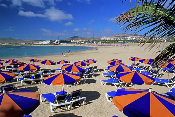 Beach view, Caleta de Fuste, Fuerteventura, Canary Islands, Spain, Atlantic, Europe