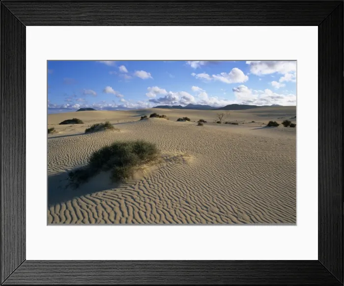 Framed Print : Sand dunes, near Corralejo, Fuerteventura, Canary Islands, Spain, Atlantic, Europe Framed Print : Sand dunes, near Corralejo, Fuerteventura, Canary Islands, Spain, Atlantic, Europe