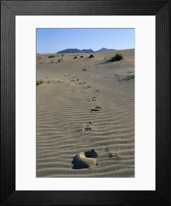 Framed Print : Footprints through sand dunes, near Corralejo, Fuerteventura, Canary Islands, Spain, Europe Framed Print : Footprints through sand dunes, near Corralejo, Fuerteventura, Canary Islands, Spain, Europe