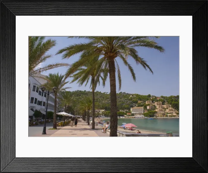Framed Print : Beach with palm trees, Soller, Mallorca, Balearic Islands, Spain, Mediterranean, Europe Framed Print : Beach with palm trees, Soller, Mallorca, Balearic Islands, Spain, Mediterranean, Europe