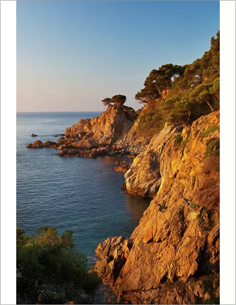 Coastline at dawn, Calella de Palafrugell, Costa Brava, Catalonia, Spain, Mediterranean, Europe