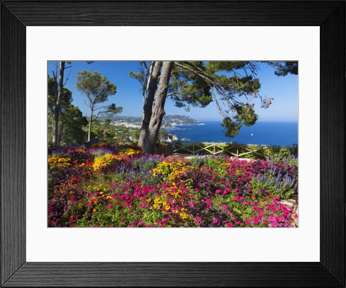 Framed Print : Jardins Botanico de Cap Roig, Calella de Palafrugell, Costa Brava, Catalonia, Spain, Mediterranean, Europe Framed Print : Jardins Botanico de Cap Roig, Calella de Palafrugell, Costa Brava, Catalonia, Spain, Mediterranean, Europe