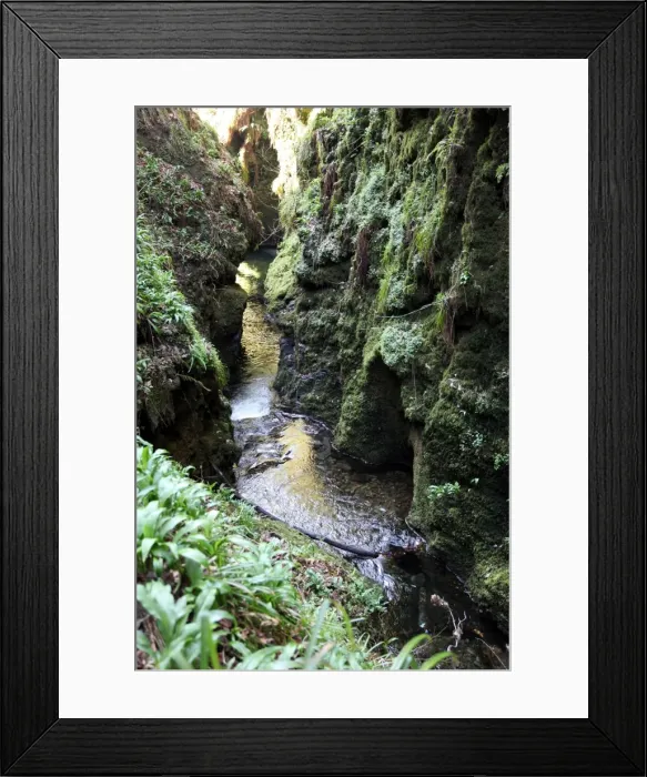 Framed Print : Famous 3 mile gorge in Devon owned by the National Trust, Devon, England, United Kingdom, Europe Framed Print : Famous 3 mile gorge in Devon owned by the National Trust, Devon, England, United Kingdom, Europe
