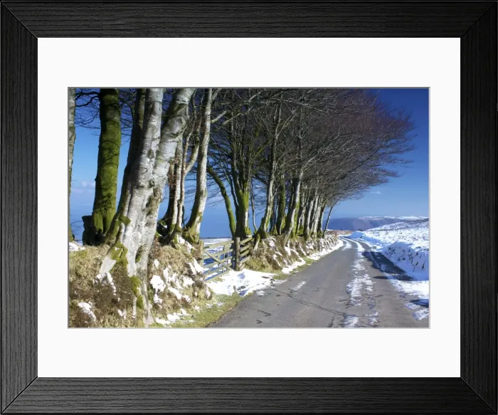 Framed Print : Beech trees in snow above Porlock, Exmoor National Park, Somerset, England, United Kingdom, Europe Framed Print : Beech trees in snow above Porlock, Exmoor National Park, Somerset, England, United Kingdom, Europe