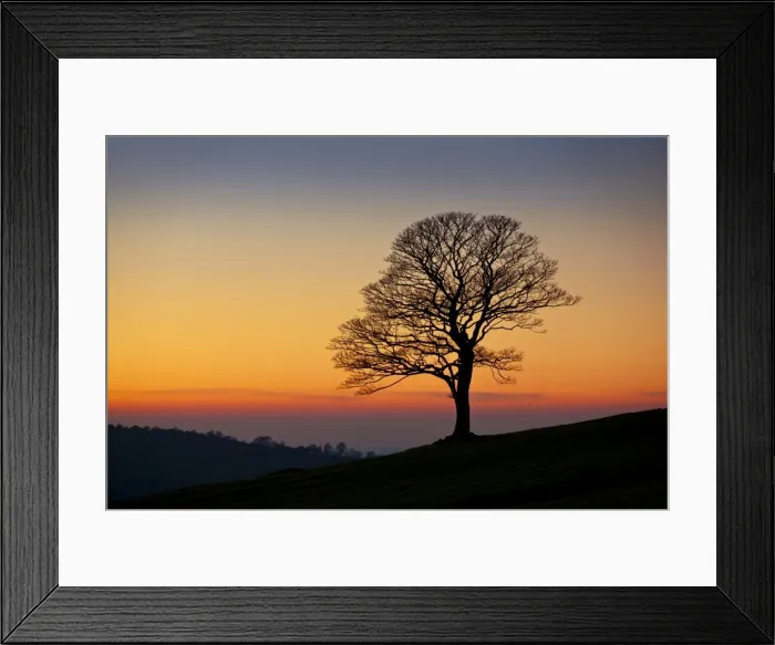 Framed Print : Lone tree empty of leaves in winter at sunset in the Roaches near Leek, Staffordshire, England, United Kingdom, Europe Framed Print : Lone tree empty of leaves in winter at sunset in the Roaches near Leek, Staffordshire, England, United Kingdom, Europe
