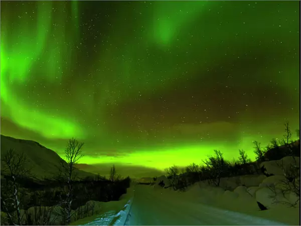 Aurora borealis (Northern Lights) seen over a snow covered road, Troms, North Norway, Scandinavia, Europe