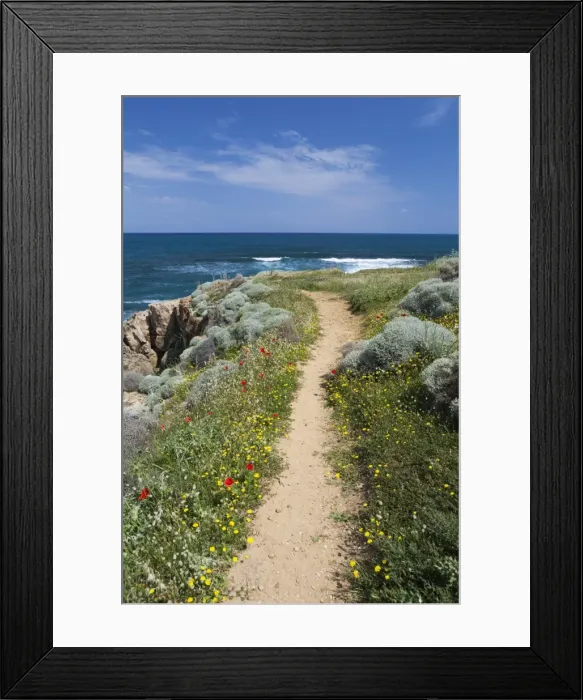 Framed Print : Coastal path with spring flowers, near Chania, Chania region, Crete, Greek Islands, Greece, Europe Framed Print : Coastal path with spring flowers, near Chania, Chania region, Crete, Greek Islands, Greece, Europe