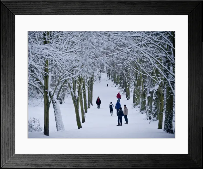 Framed Print : Hampstead Heath in winter, North London, England, United Kingdom, Europe Framed Print : Hampstead Heath in winter, North London, England, United Kingdom, Europe