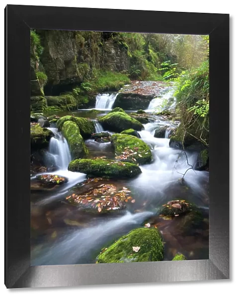 Watersmeet, Exmoor National Park, Devon, England, United Kingdom, Europe