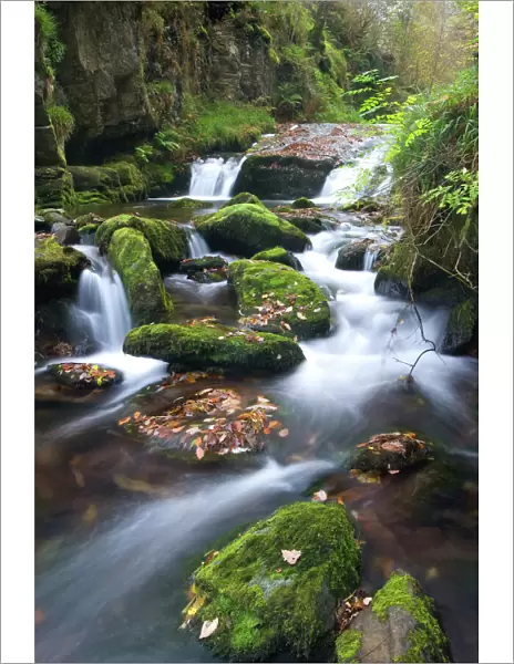 Watersmeet, Exmoor National Park, Devon, England, United Kingdom, Europe