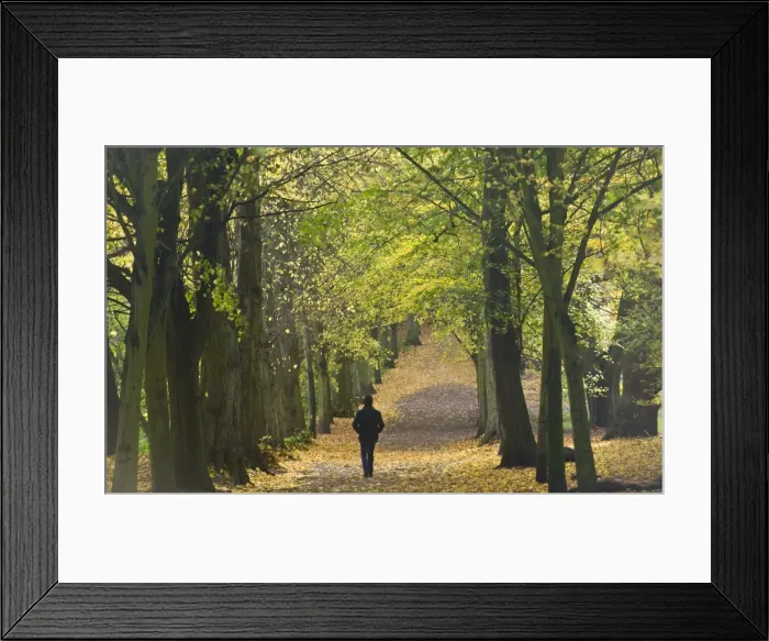 Framed Print : Hampstead Heath, North London, England, United Kingdom, Europe Framed Print : Hampstead Heath, North London, England, United Kingdom, Europe