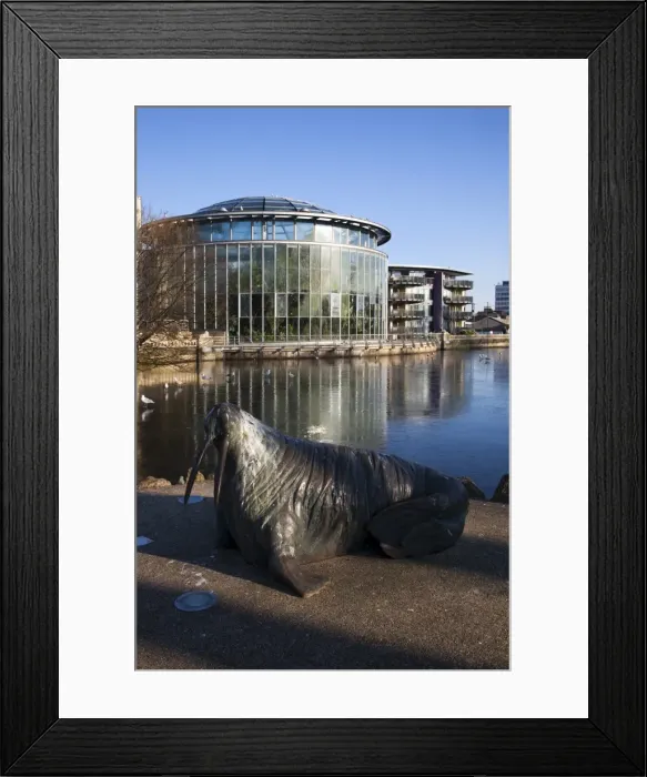 Framed Print : Walrus statue at The Winter Gardens, Sunderland, Tyne and Wear, England, United Kingdom, Europe Framed Print : Walrus statue at The Winter Gardens, Sunderland, Tyne and Wear, England, United Kingdom, Europe