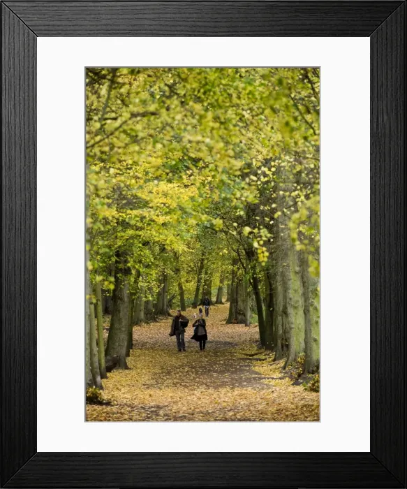 Framed Print : Hampstead Heath, North London, England, United Kingdom, Europe Framed Print : Hampstead Heath, North London, England, United Kingdom, Europe