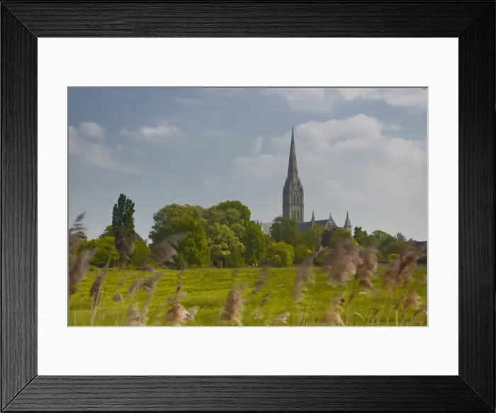 Framed Print : Salisbury Cathedral, Salisbury, Wiltshire, England, United Kingdom, Europe Framed Print : Salisbury Cathedral, Salisbury, Wiltshire, England, United Kingdom, Europe