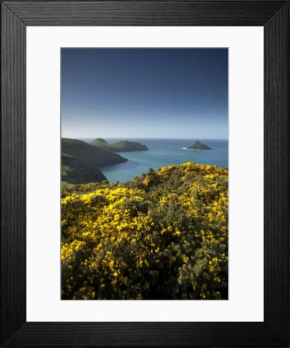 Framed Print : The Rumps, Cornwall, England, United Kingdom, Europe Framed Print : The Rumps, Cornwall, England, United Kingdom, Europe